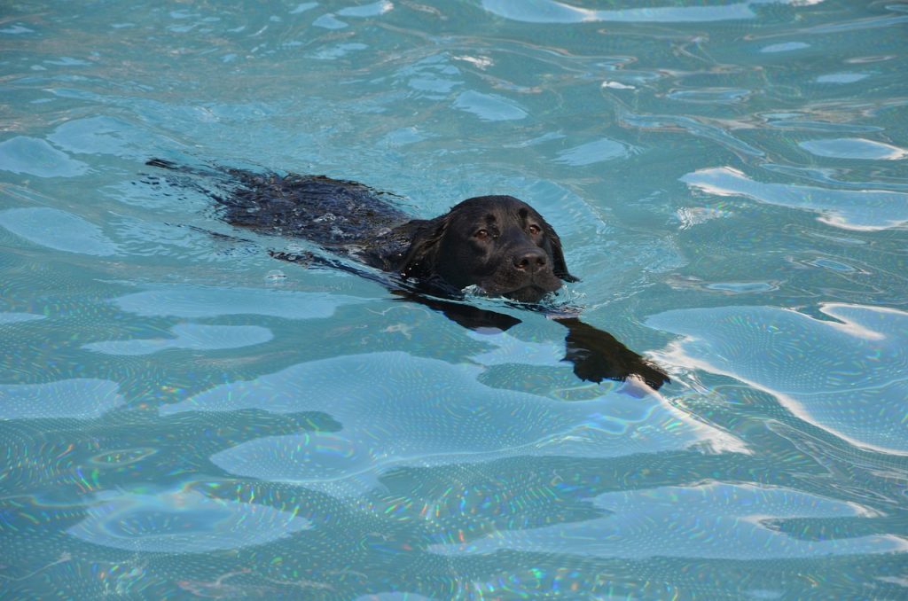 Pool Compliance Inspections Batesford Victoria