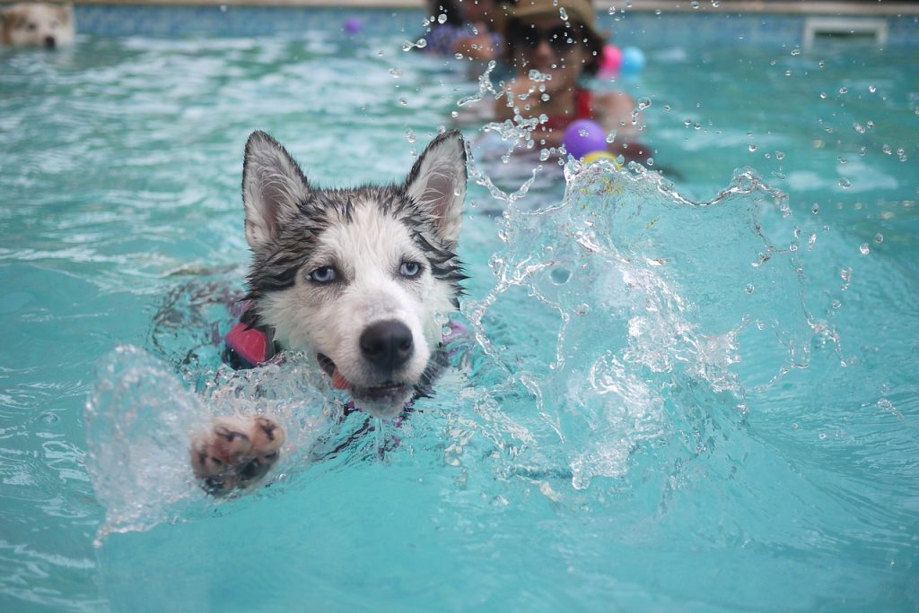 Pool Compliance Inspections Belgrave Victoria
