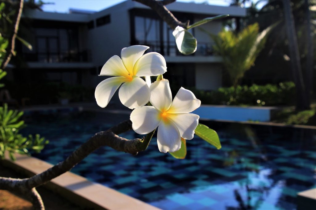 Pool Compliance Inspections Don Valley Victoria