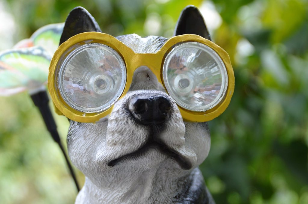Pool Compliance Inspections Moe Victoria
