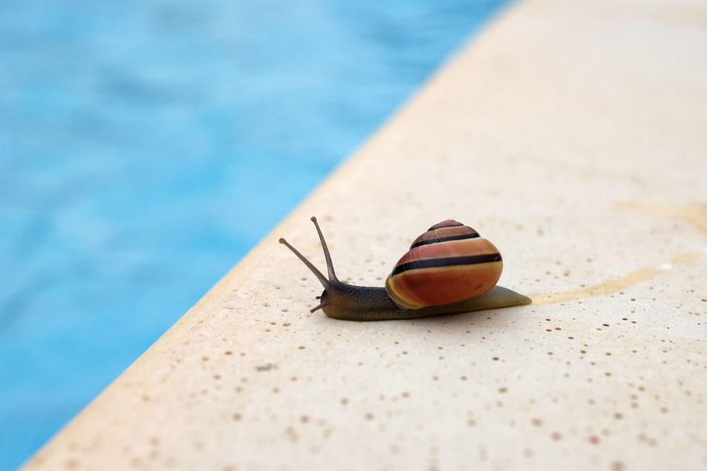 Pool Compliance Inspections Oakleigh Victoria