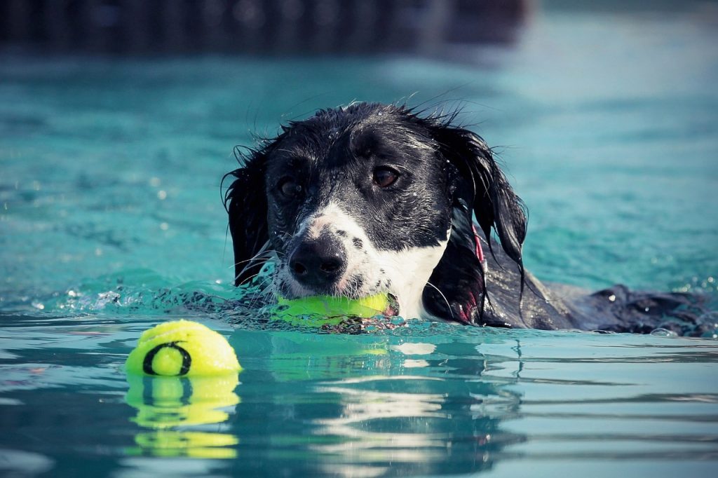 Pool Compliance Inspections Kyabram Victoria