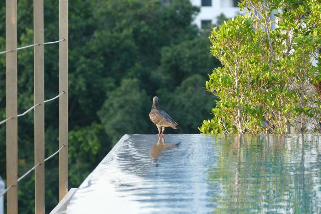 Pool Compliance Inspections Burwood East