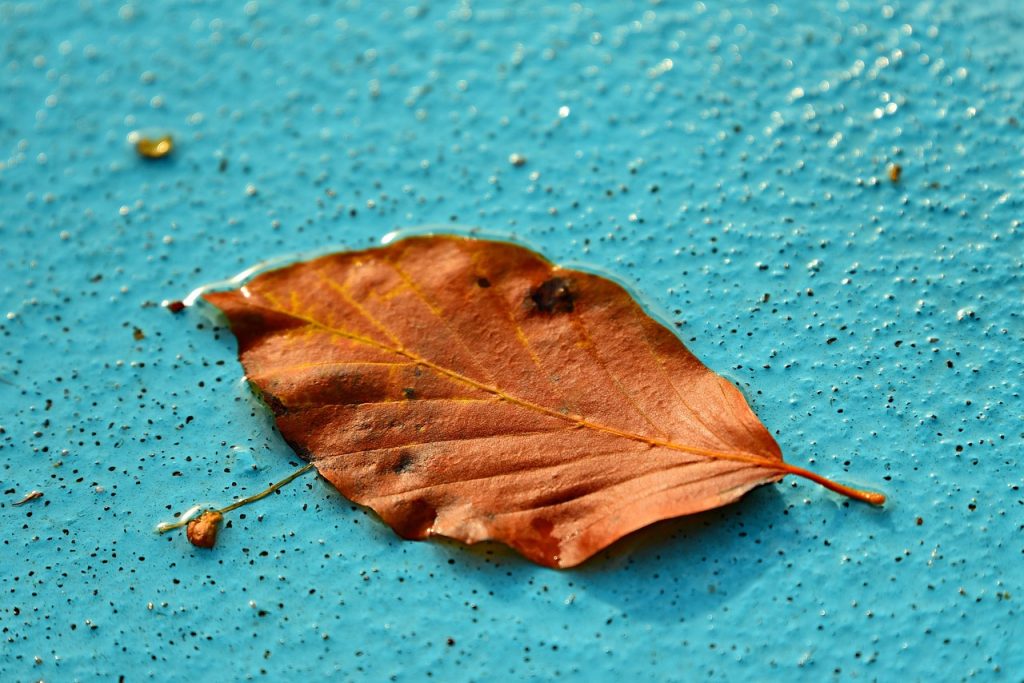 Pool Compliance Inspections Heywood