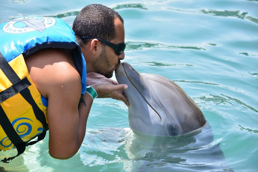 Pool Compliance Inspections Hilldene