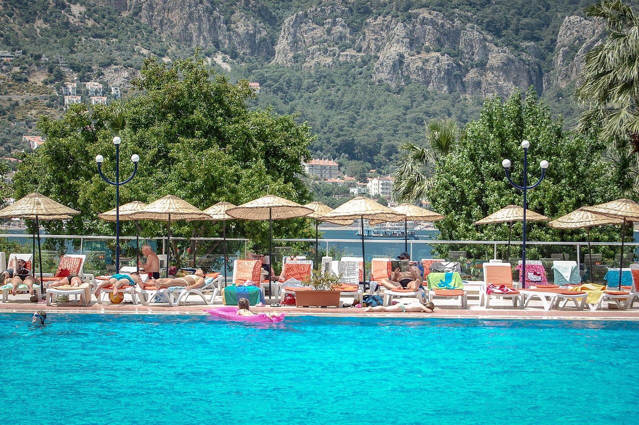 Licensing Portal - License Search